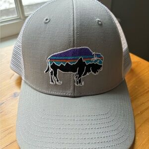 Patagonia Fitz Roy Bison Trucker Hat